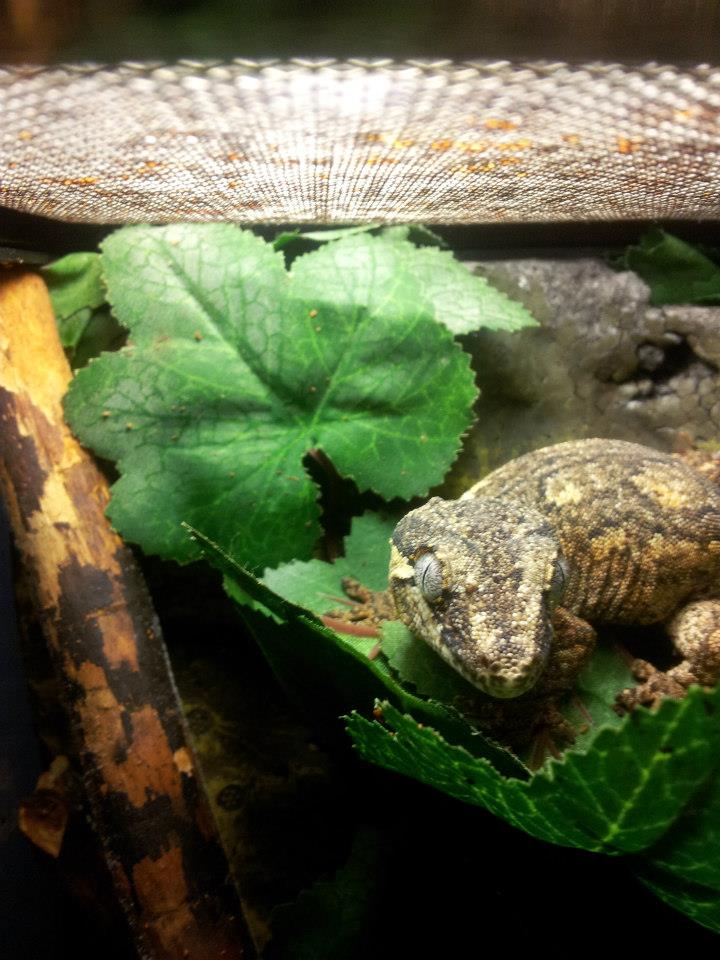 205300 4911987794883 670095279 n