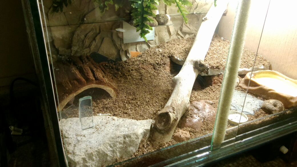 214f5e68-125d-4fee-b43e-a1a082639fd9