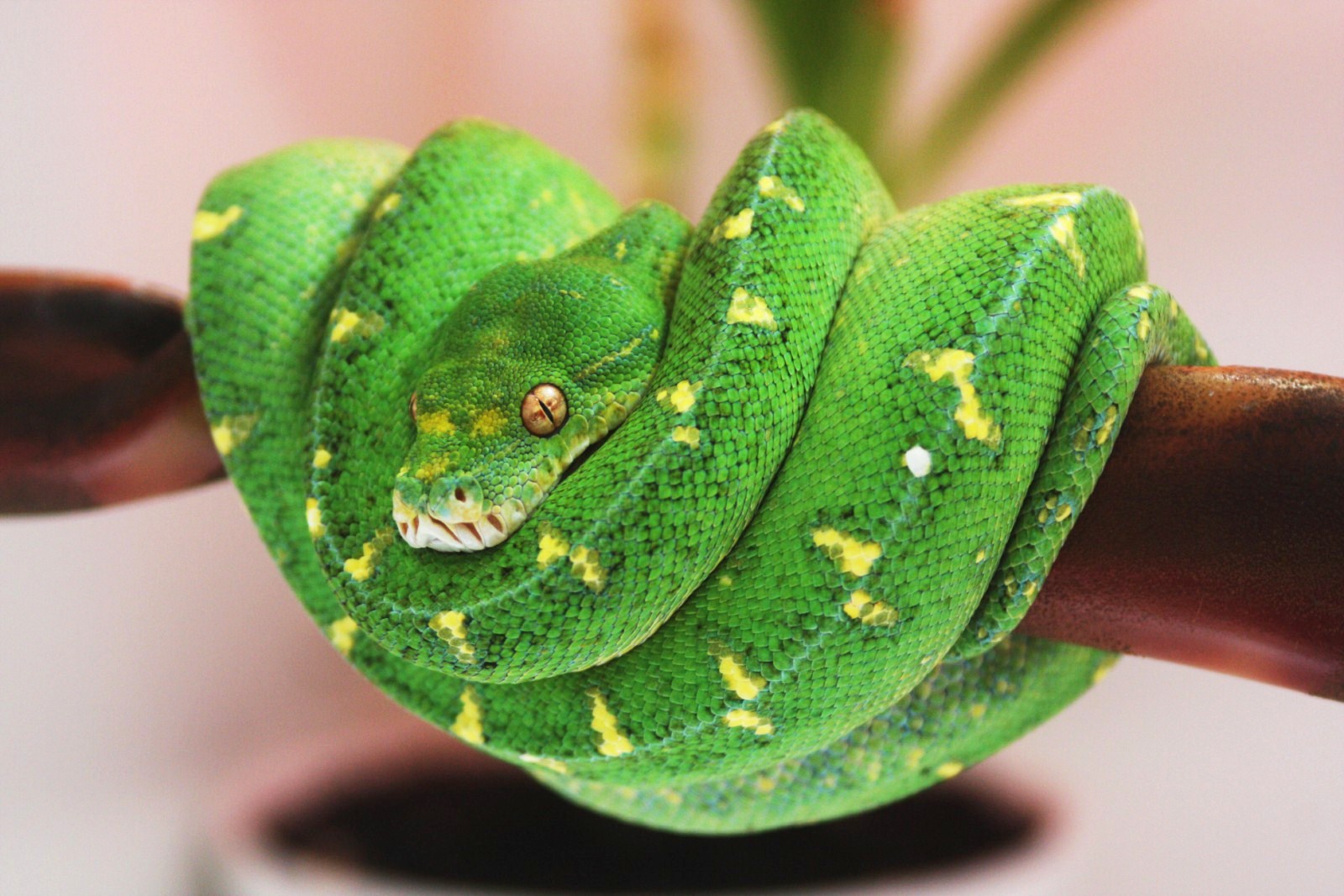 22 un año y dos meses.JPG