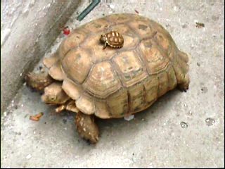 24_10_2078 7_56_0001.jpg