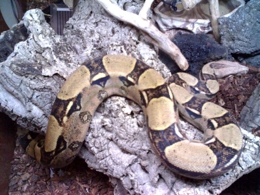 26-03-08_2219 bis.jpg