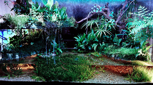 2922485468 97acca31ca z