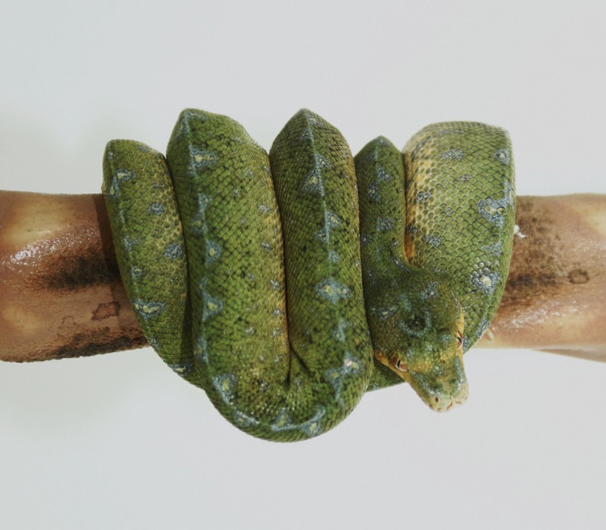 3 siete meses y diecinueve dias .JPG