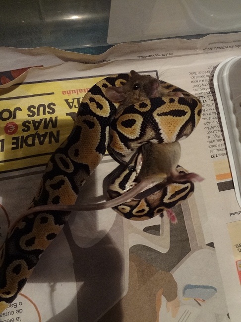 31-10-12 (1) foro.jpg