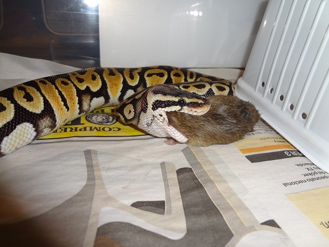 31-10-12 (2) foro.jpg