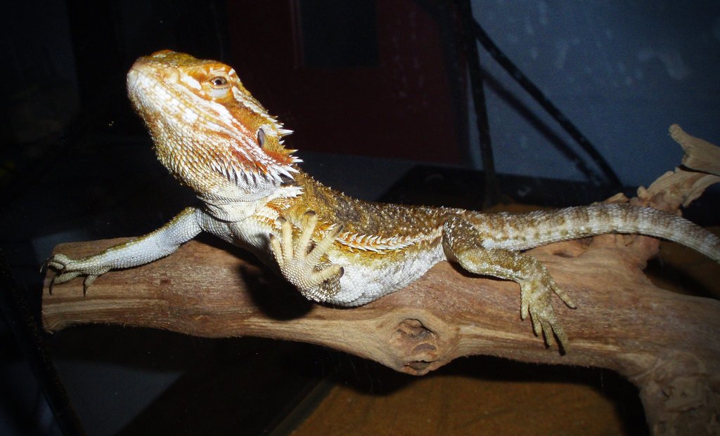 322899 3082792208264 1279917145 o