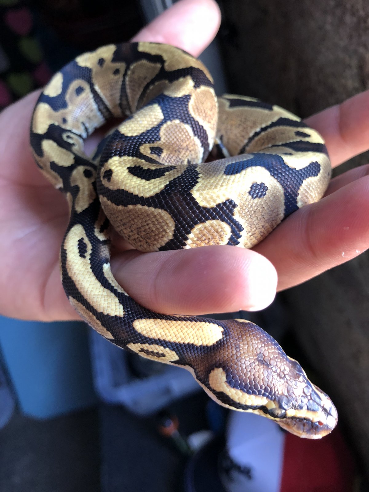 322CE9CF-D388-45E1-923D-A3D173985FB9