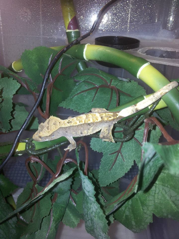 382278 10200353934388324 1644546266 n