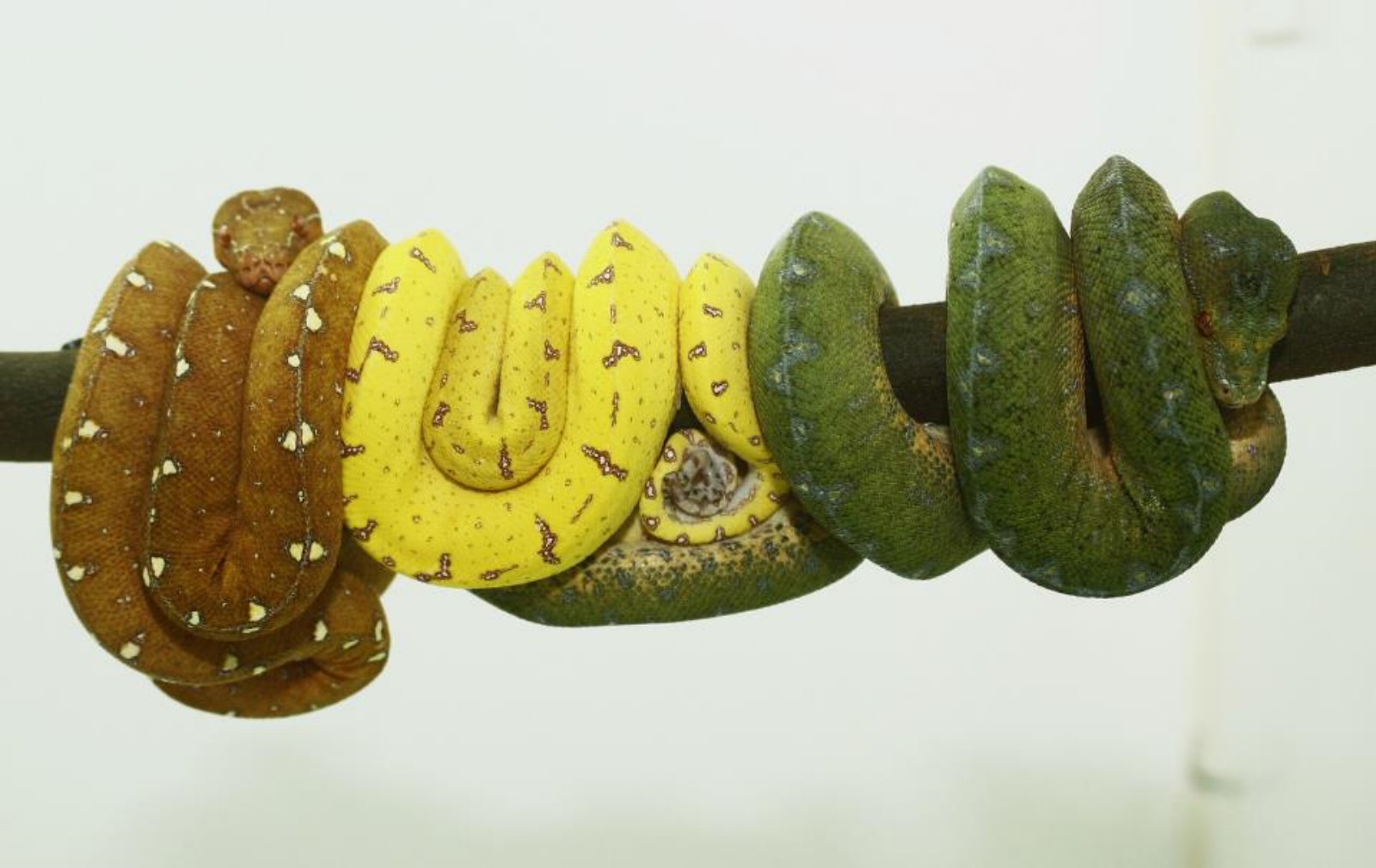 392753_10150536625132002_671382001_8838649_367825373_n [1600x1200].jpg