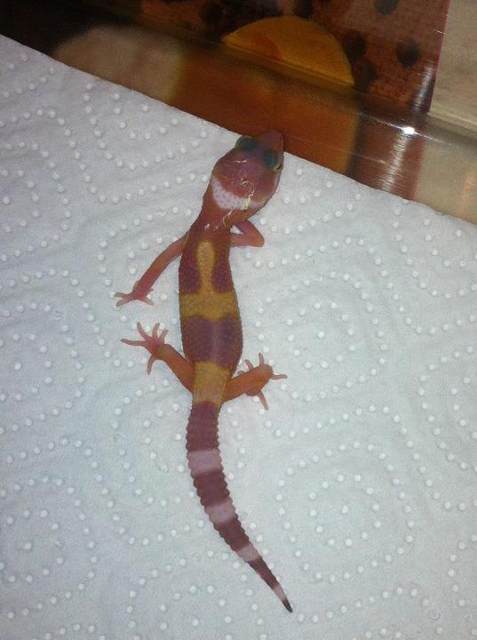 398436 529133643767217 1219087050 n