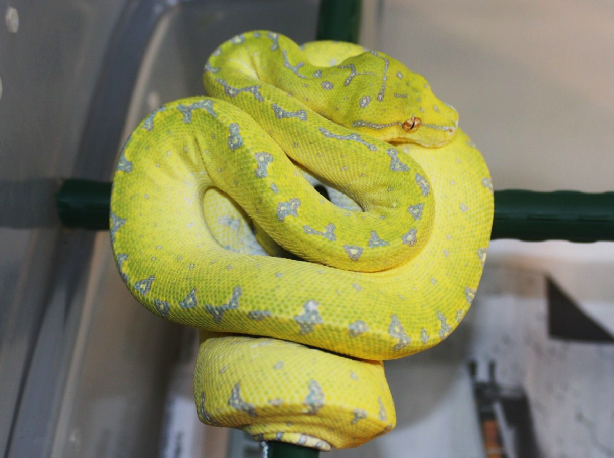 4 diez meses y veinte dias.JPG