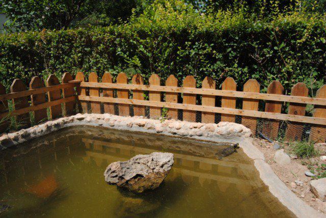 405597_121513374633777_100003253466725_104540_1965690638_n (1).jpg