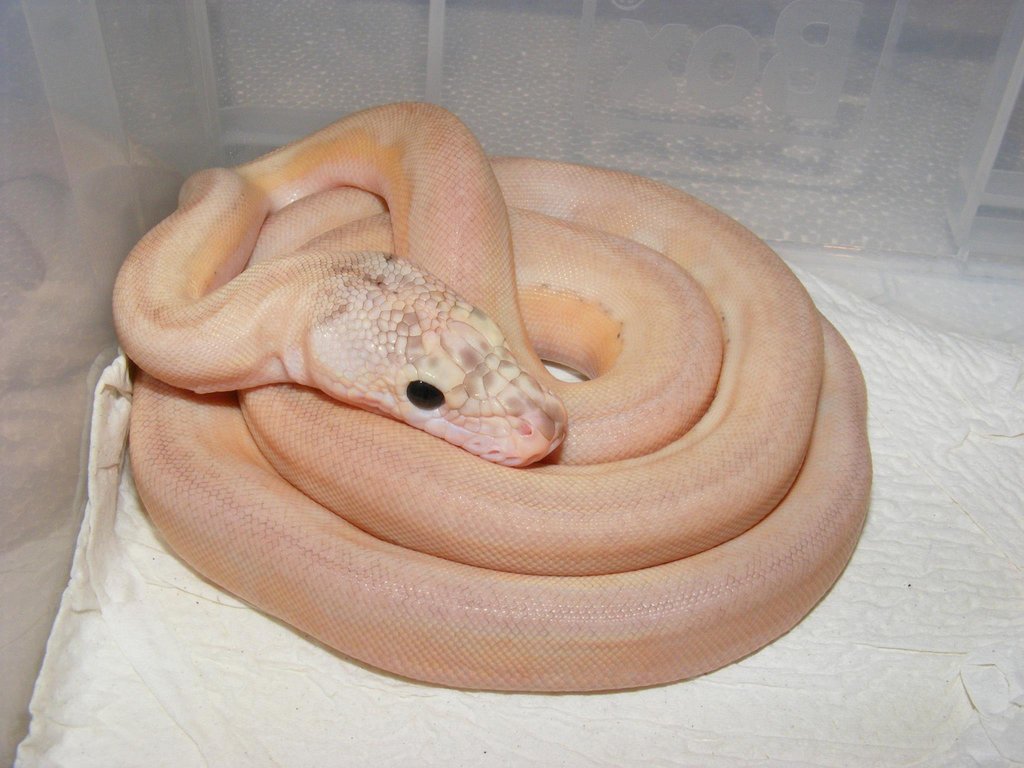 477381 420916121254966 100000097453497 1623922 1174304541 o