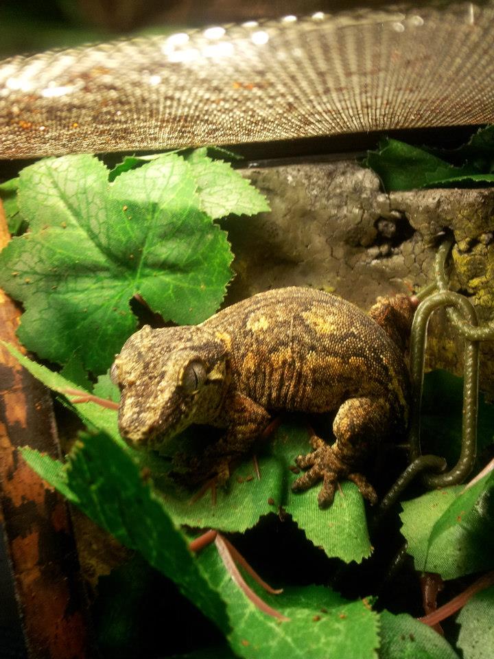 486091 4911984954812 528147817 n