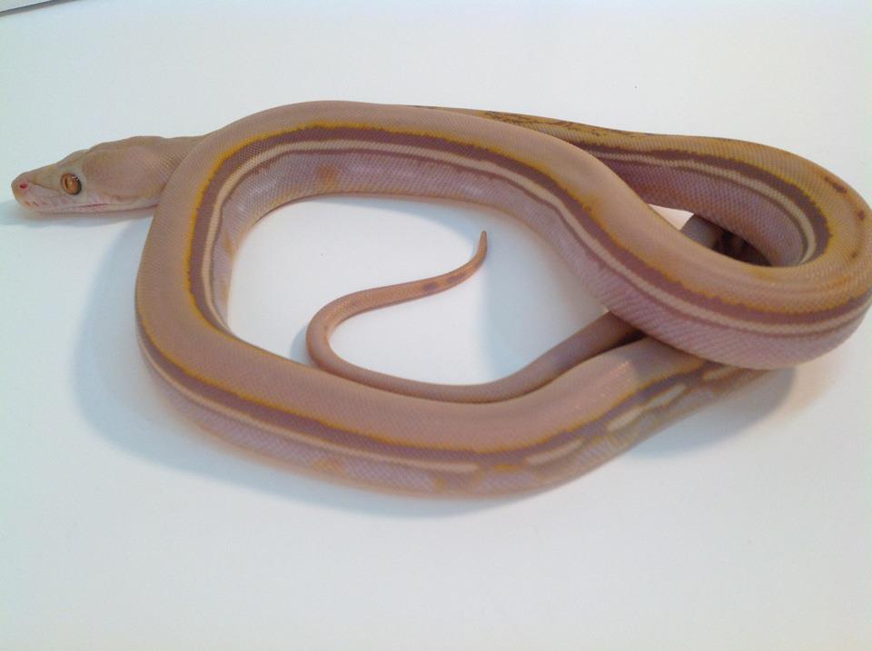 544695 224742850968497 100002983501062 375966 1326698574 n