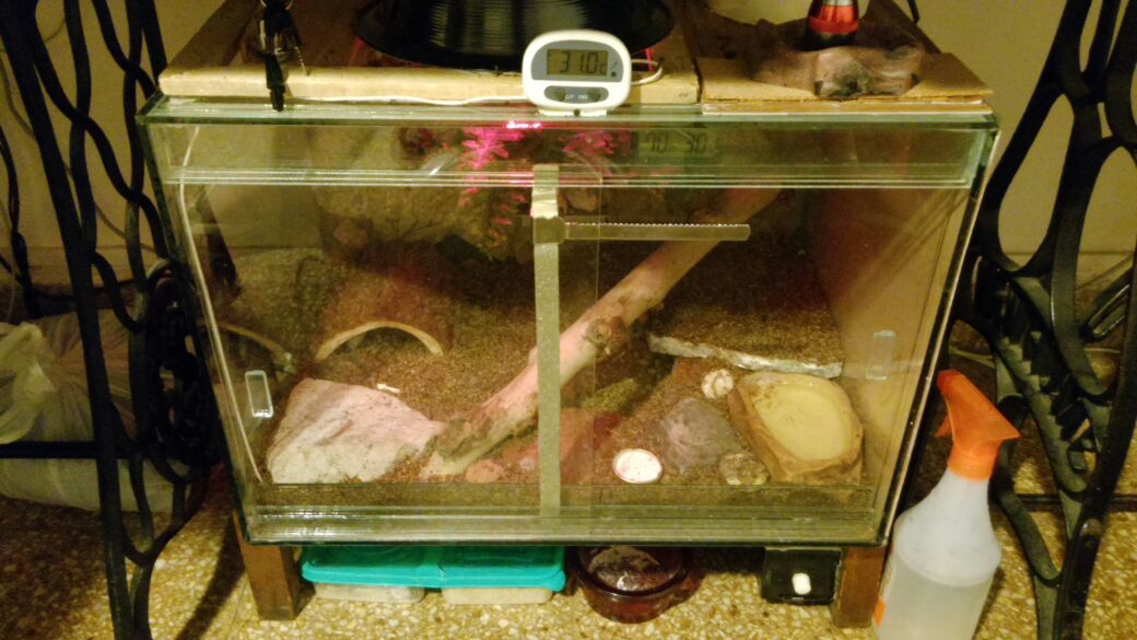 556c3ebe-362a-4488-88bc-5421310b8da8 (1)