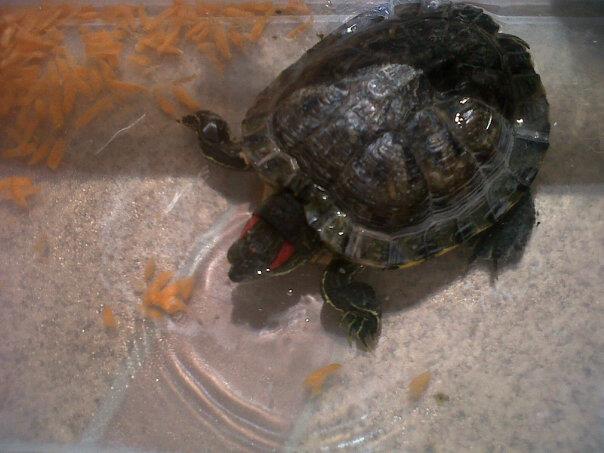 558650 4407430394978 885757630 n