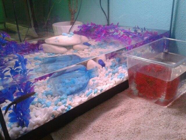 598896 10201565067880329 1458029445 n