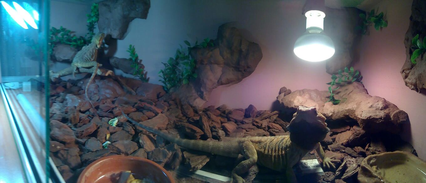 62c06413-f0d3-4ee3-b76d-788386778b0d