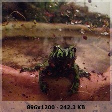 67b0968f12c545ca848e14c86871b833o