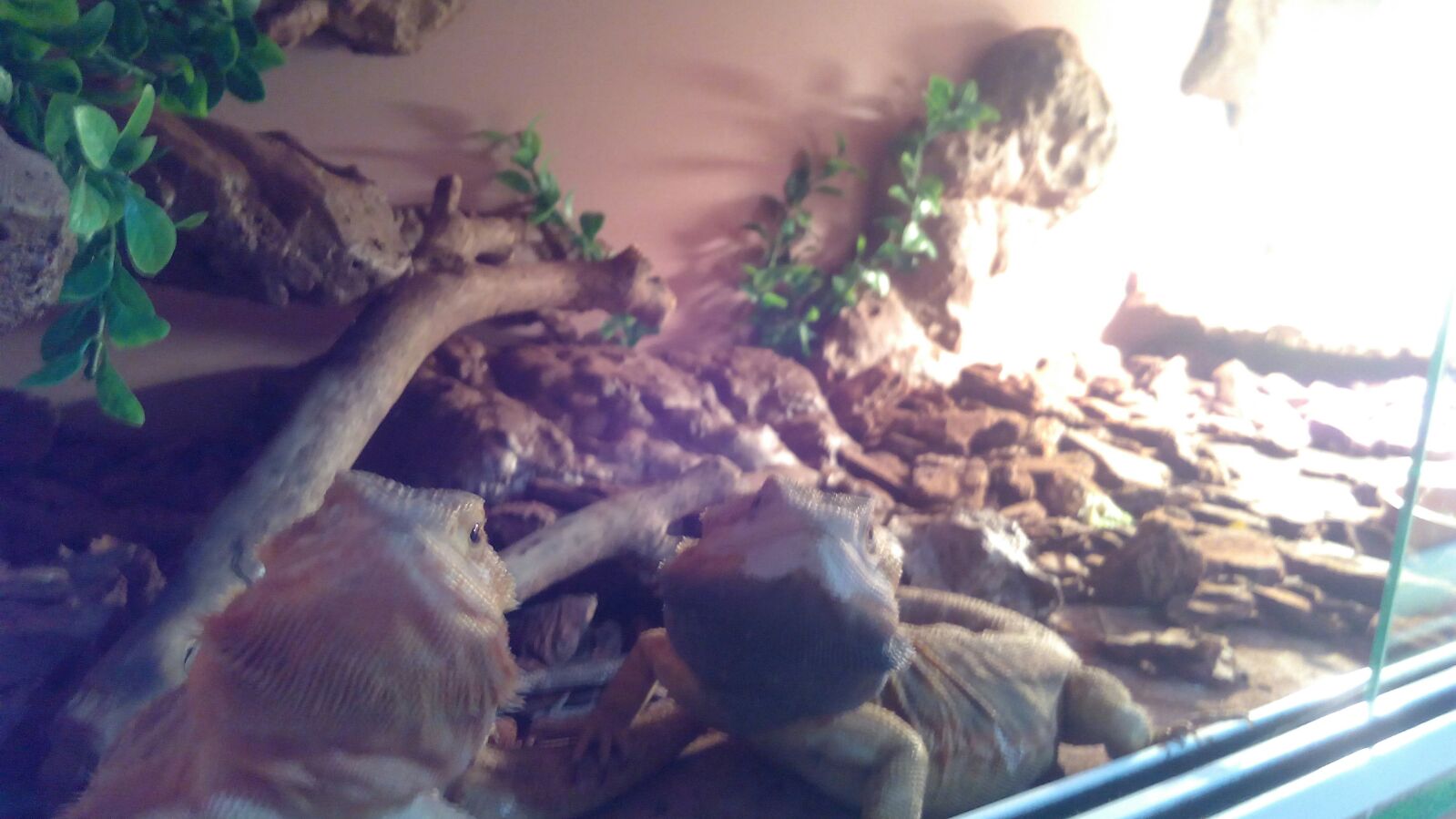 73d4a1e4-cc0f-4c56-aa84-a6a99b191eb1