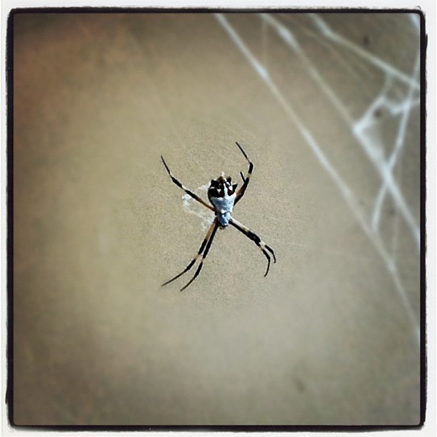 75198 10150843386175871 720450870 12598066 2094463436 n