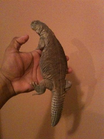 877858755 (Small).jpg