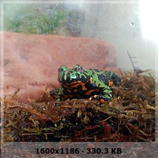 8c9c8aa12ad37ff198dc7f1338955a73o