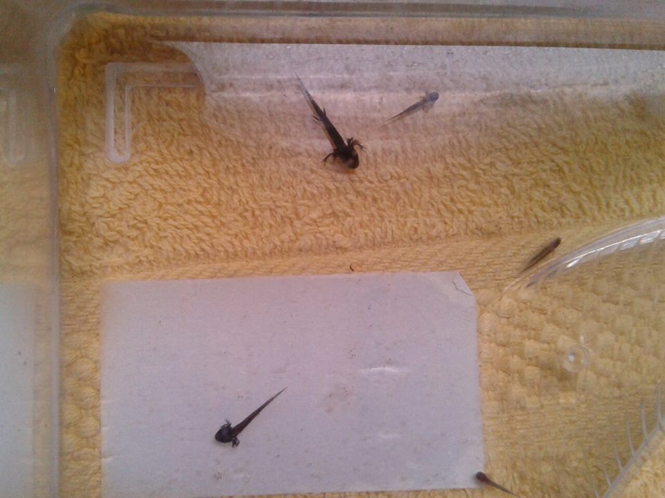 945817 10201565038359591 143069212 n