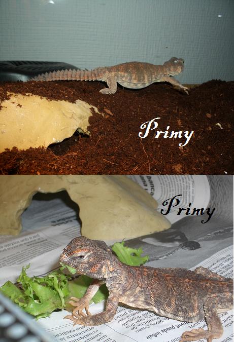 algo de evolucion.JPG