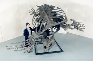archelon-70Ma.jpg