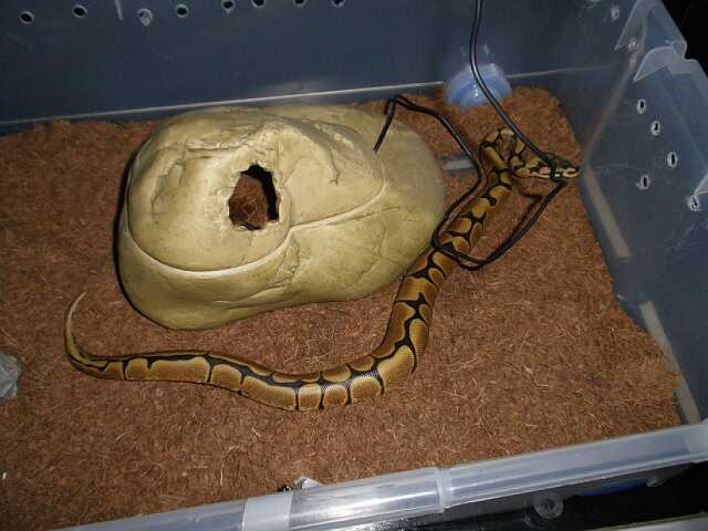 arenis  21 de septiembre de 2009 p9210076-reducido.jpg