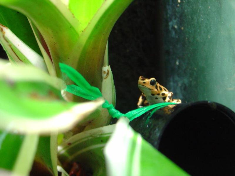 BASTIMENTOS.JPG 2.JPG