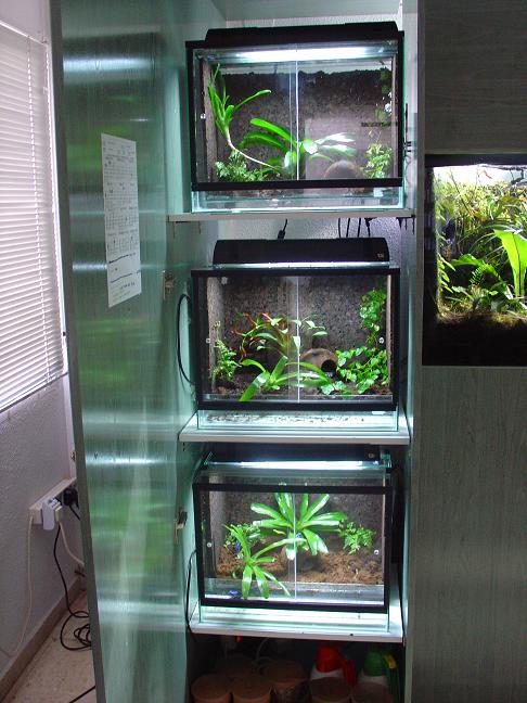 bateria terrario.JPG 1.JPG