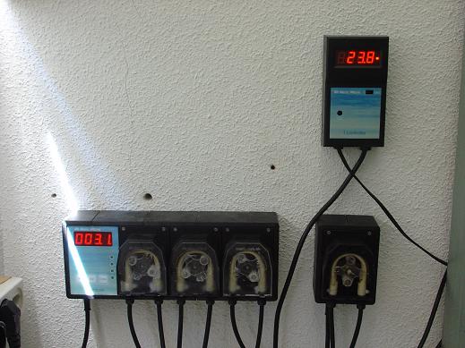 bateria terrario.JPG3.JPG