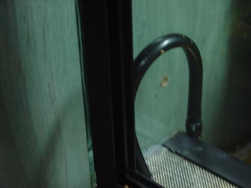 bateria terrario.JPG5.JPG