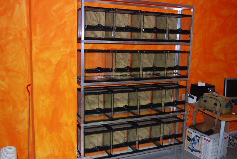 Bateria terrarios exo-terra 03.jpg