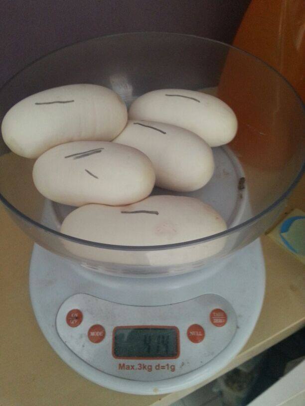 bumblebee x vanilla pastel.jpg2.jpg