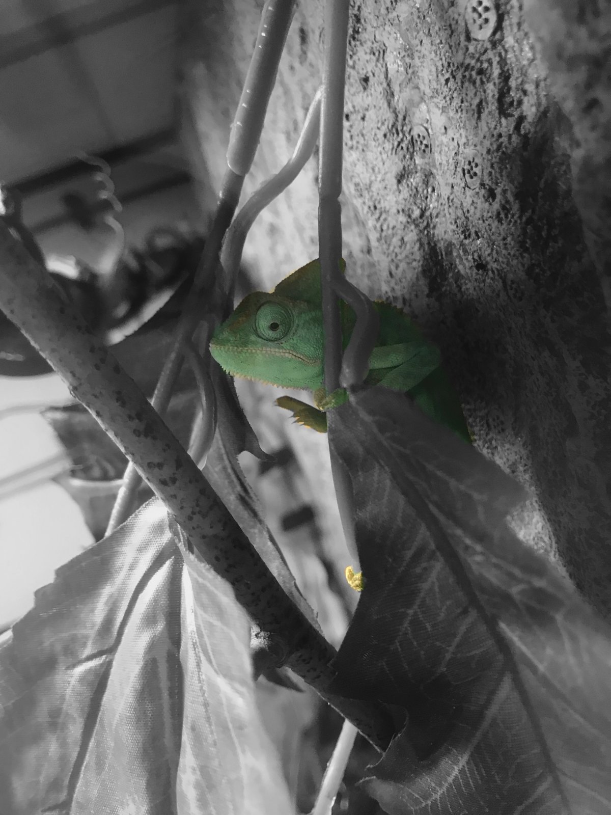 C483A6CA-EE66-4D0D-A4DD-2B424CD965D3