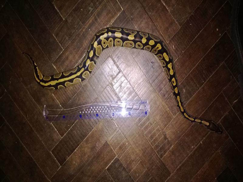 cam 2504 005 - copia.jpg