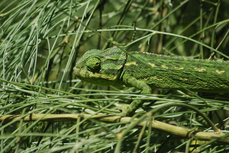 camara nueva 285 [800x600].jpg
