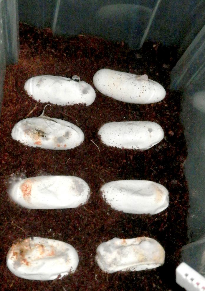 Captura de pantalla 2014-09-18 a la(s) 10.51.13.jpg