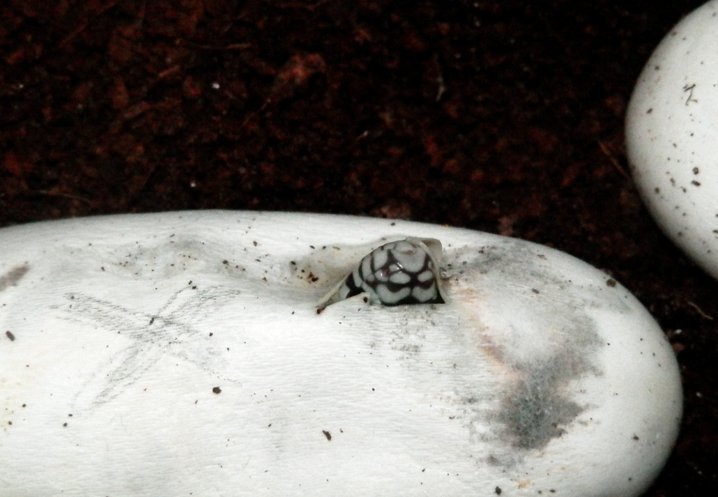 Captura de pantalla 2014-10-25 a la(s) 10.42.35.jpg