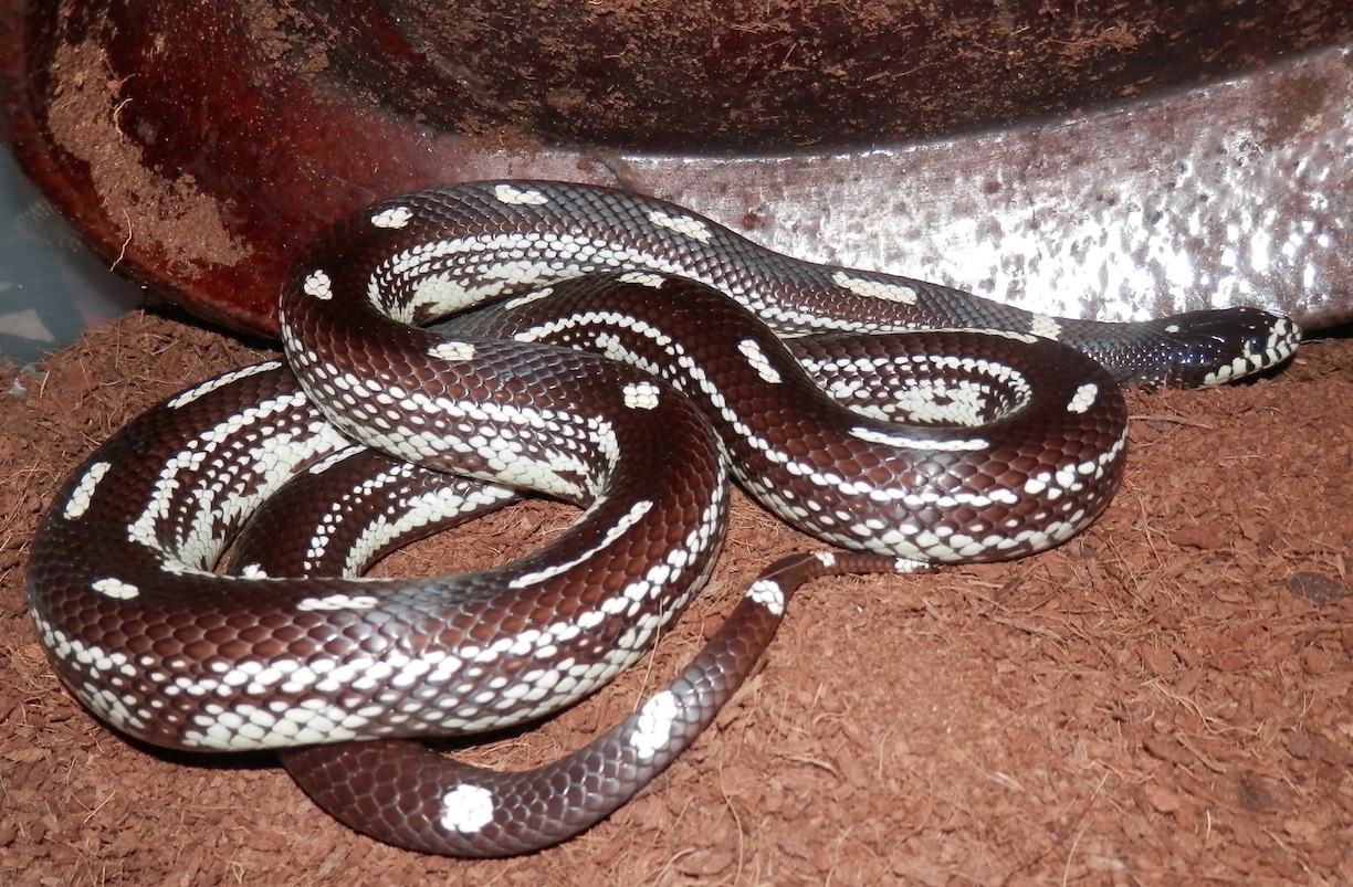 Captura de pantalla 2014-10-25 a la(s) 10.46.59.jpg