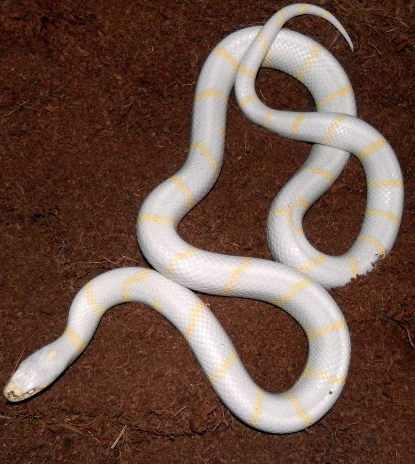 Captura de pantalla 2014-10-25 a la(s) 10.47.16.jpg