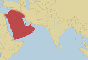 cerastes  gasperetti.gif