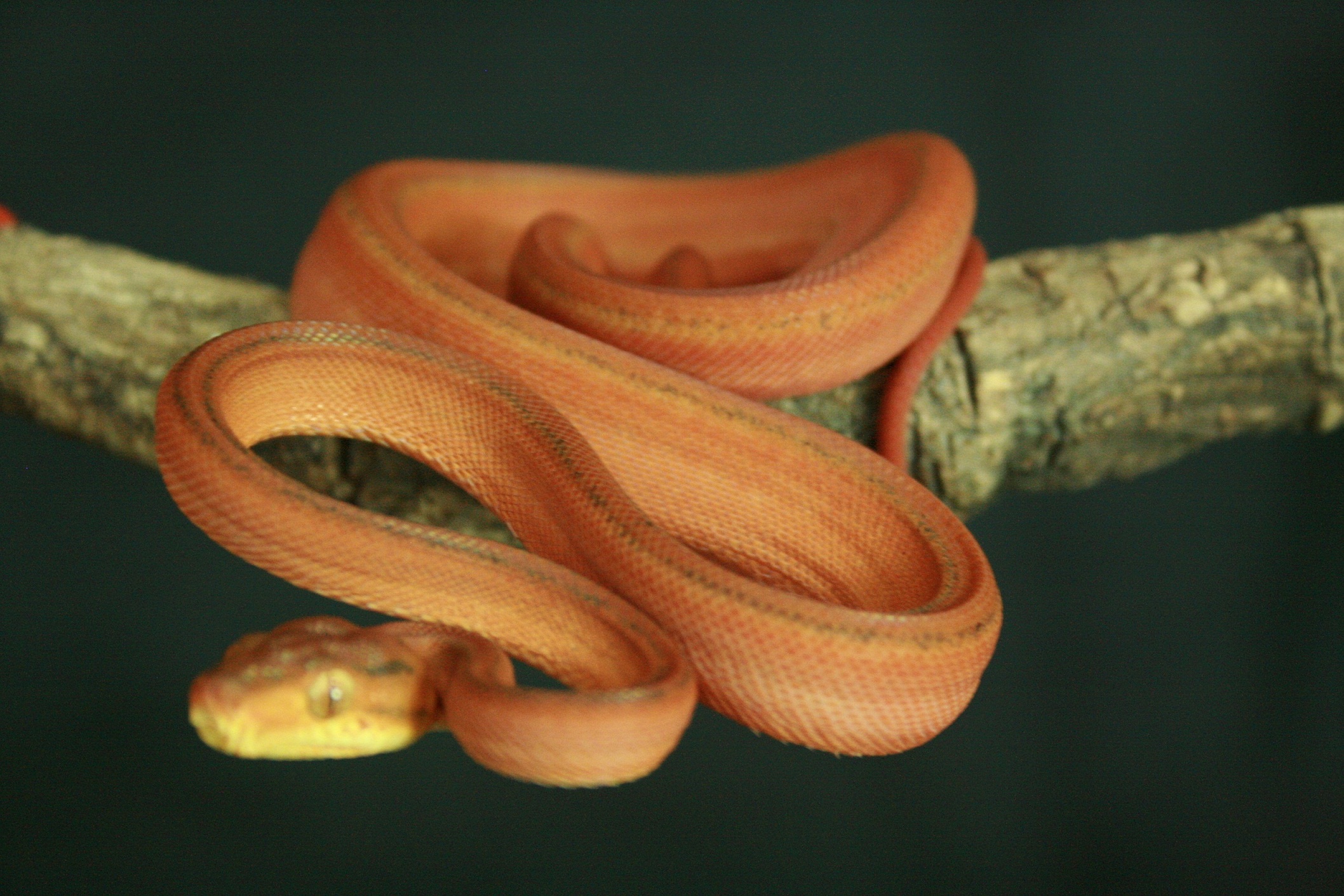 CH12#16 - Holdback.JPG