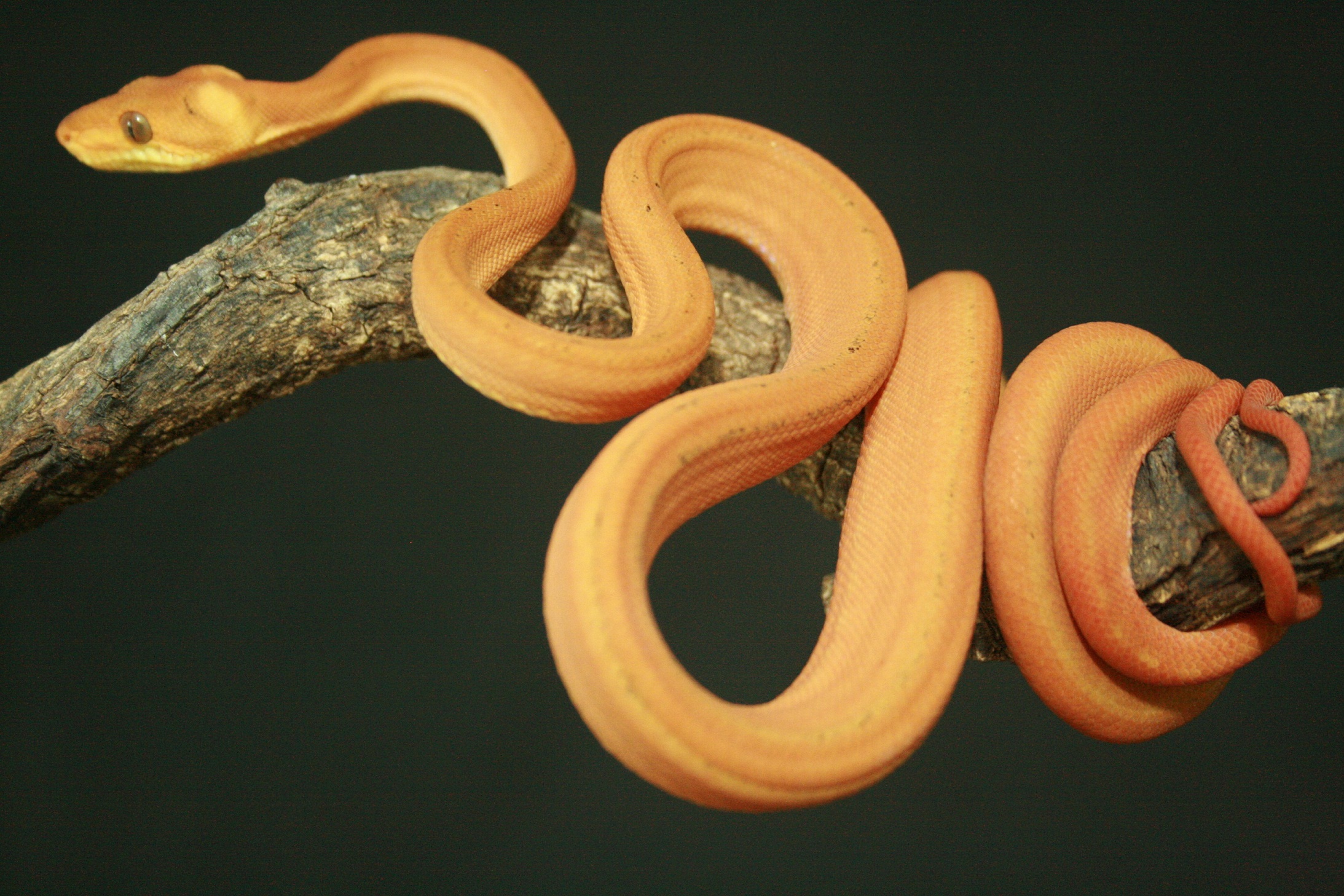 CH12#17 - Holdback.JPG