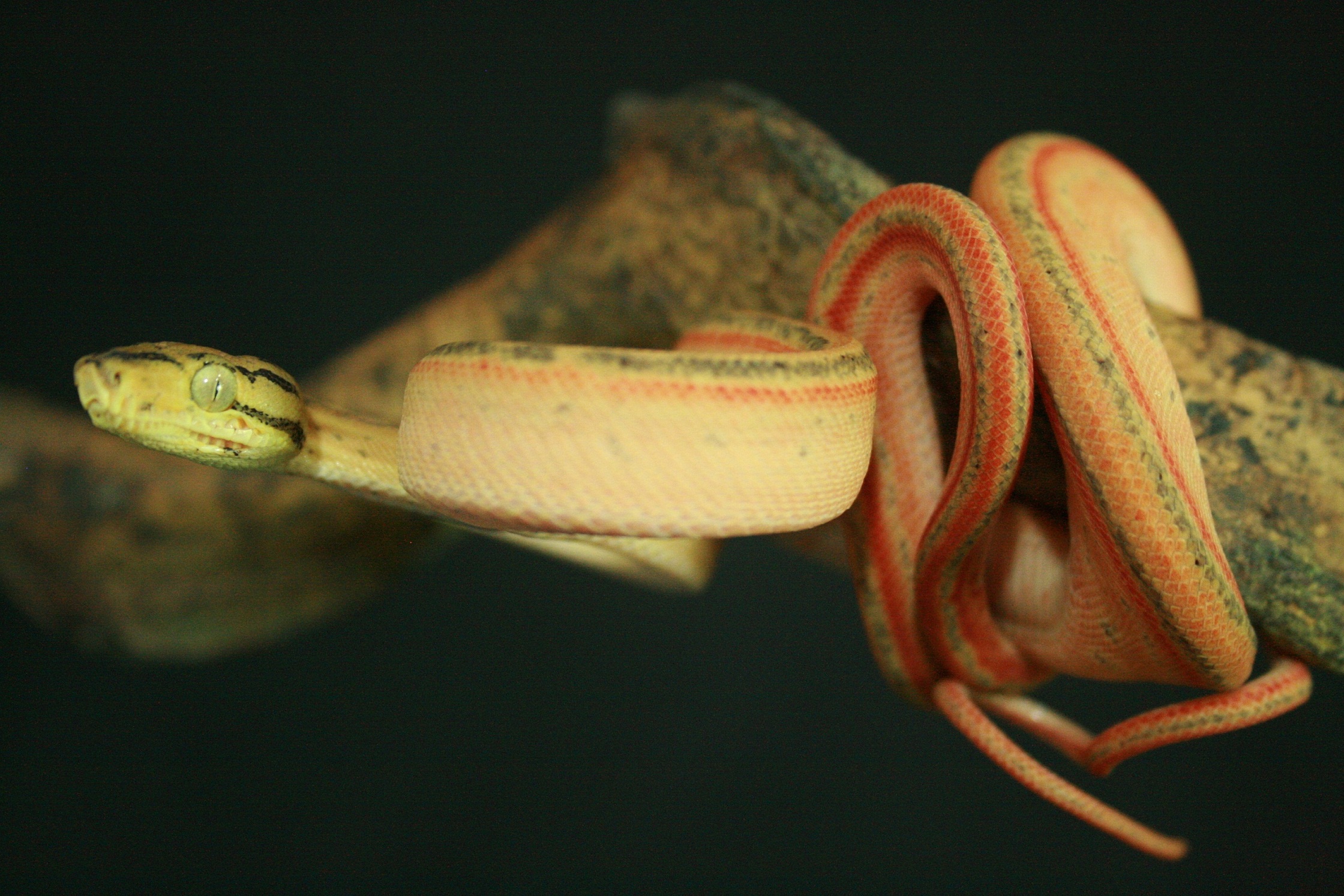 CH12#2 - Holdback.JPG