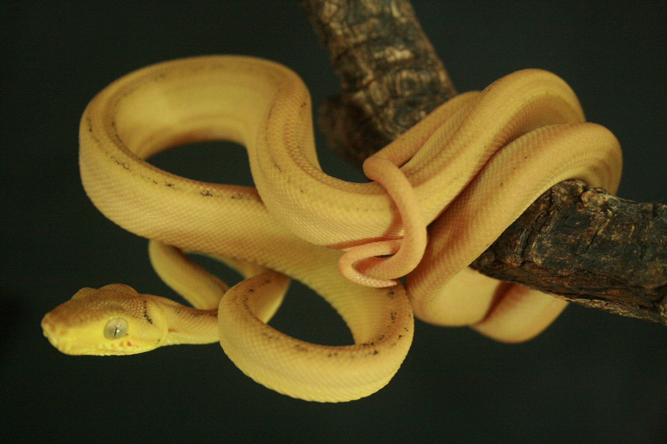 CH12#20 - Holdback.JPG